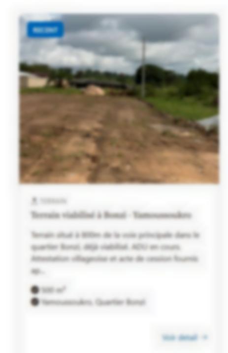 Photo de l'objet